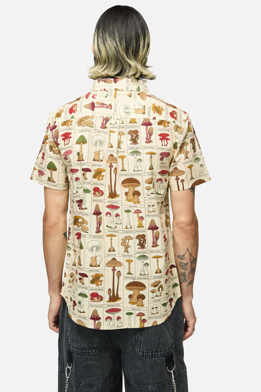 Dangerfield - Fungus SS Shirt - cream