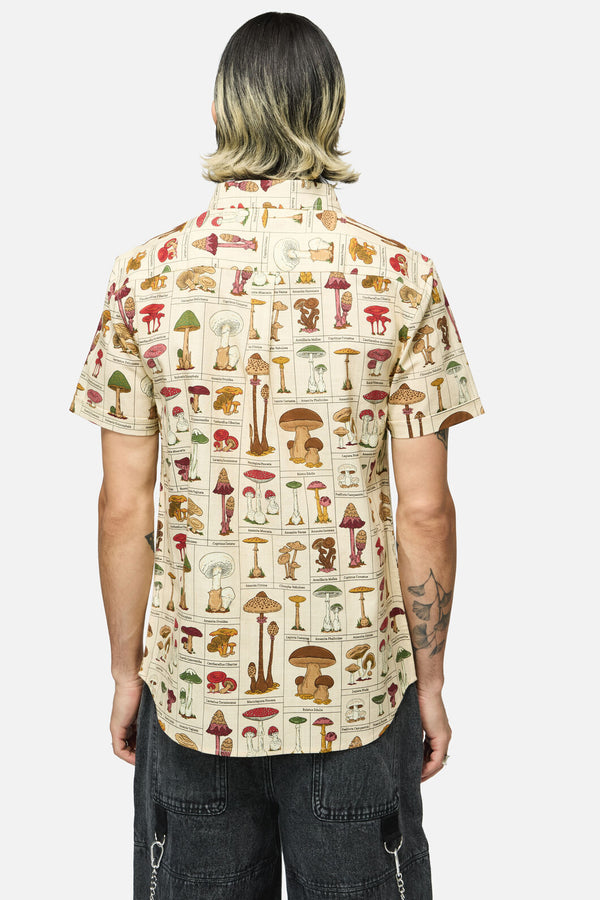 Dangerfield - Fungus SS Shirt - cream