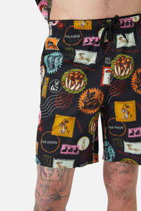 Dangerfield - Old Postal Trunks - multi