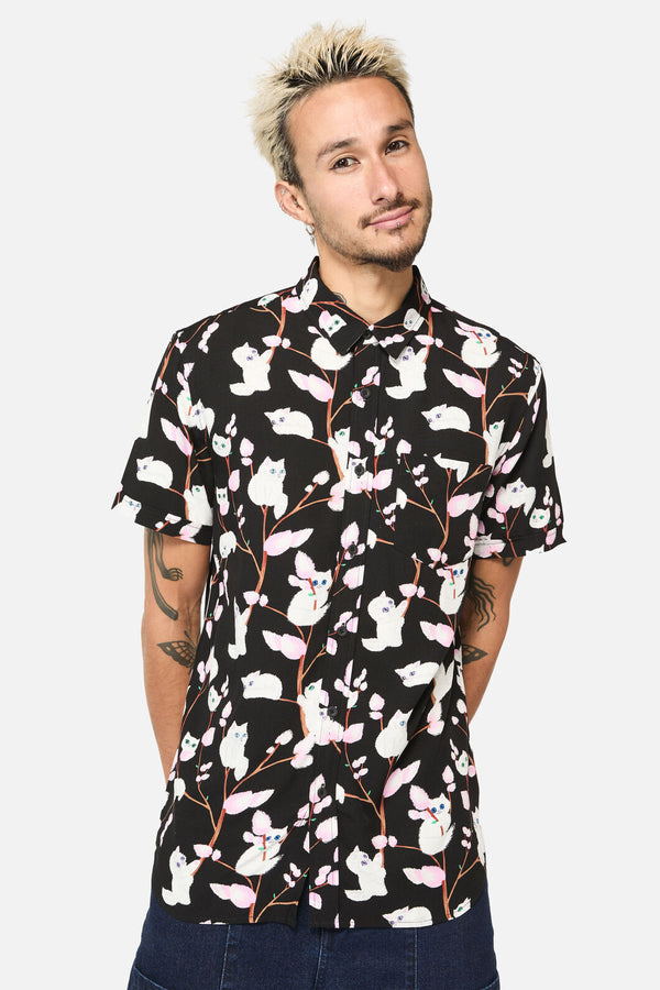 Dangerfield - Pussy Willow Short Sleeve Shirt - black