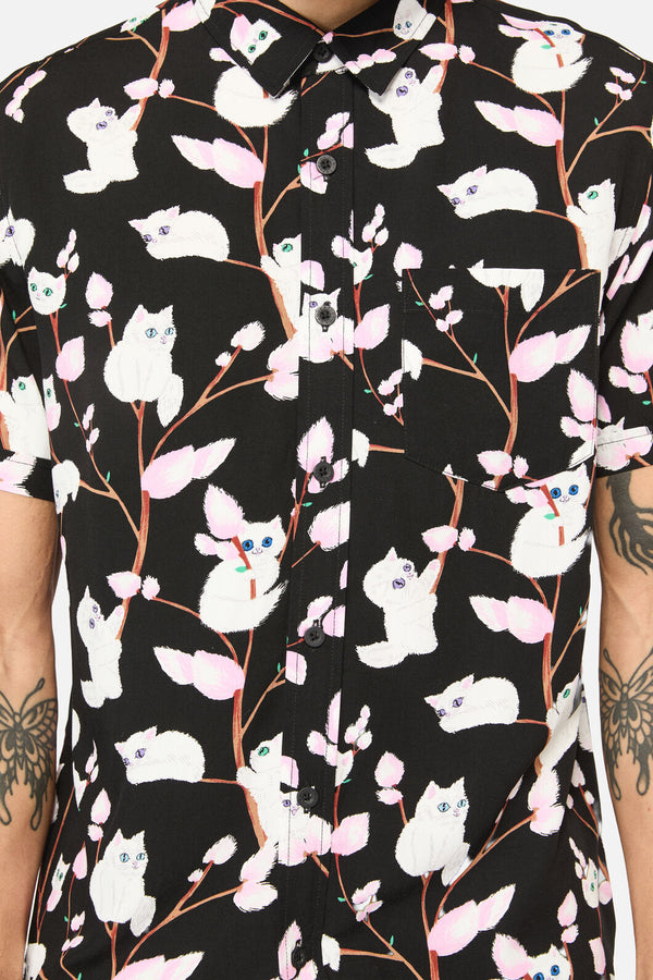 Dangerfield - Pussy Willow Short Sleeve Shirt - black