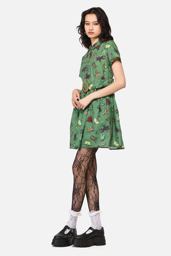 Dangerfield - Entomology Print Dress - green