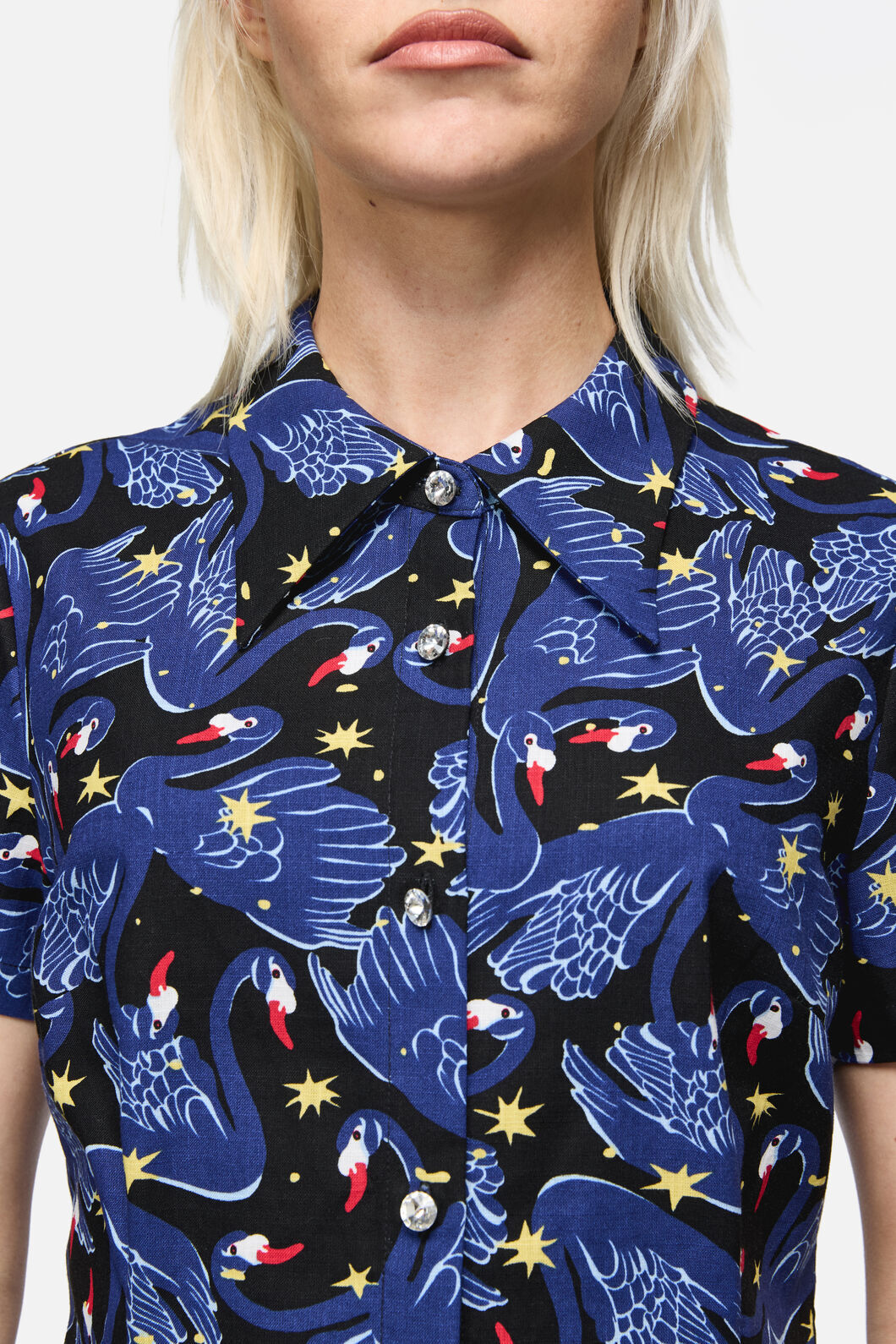 Dangerfield - Swan Song Goth Blouse - black