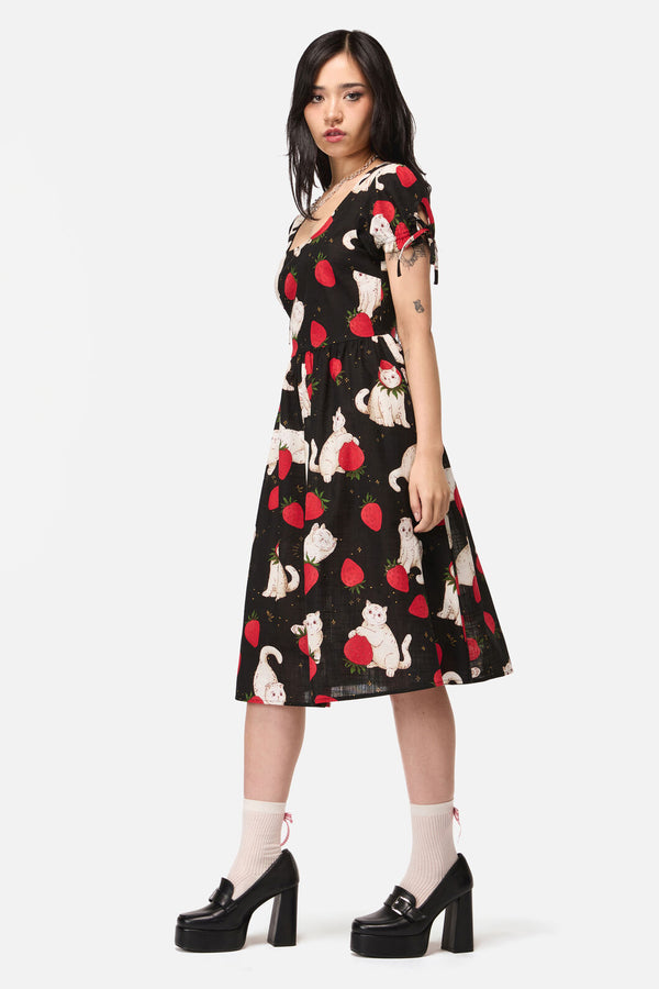 Dangerfield - Strawberry Cat Repeat Dress - black