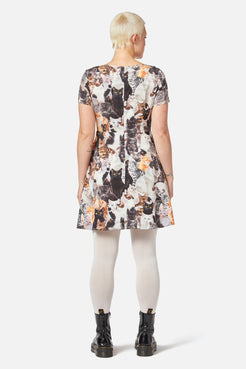 Catnip Skater Dress
