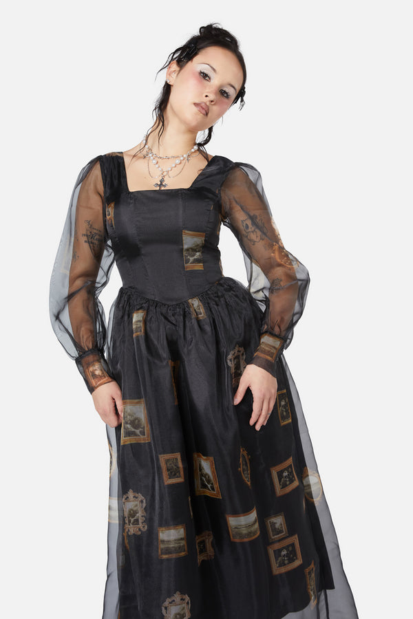 Dangerfield - Requiem Frame Organza Dress - black