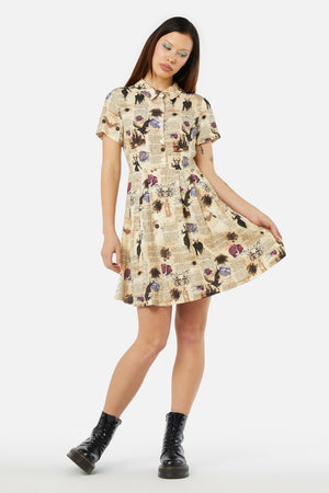 Dangerfield - Ruled Journal Dress - cream