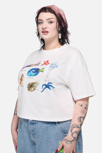 Dangerfield - Oceanic Tee - cream