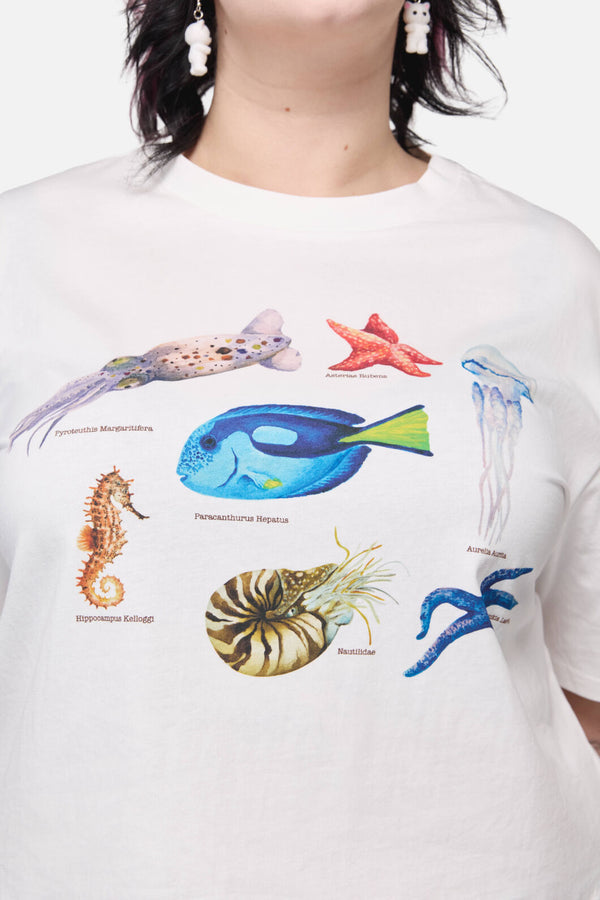 Dangerfield - Oceanic Tee - cream