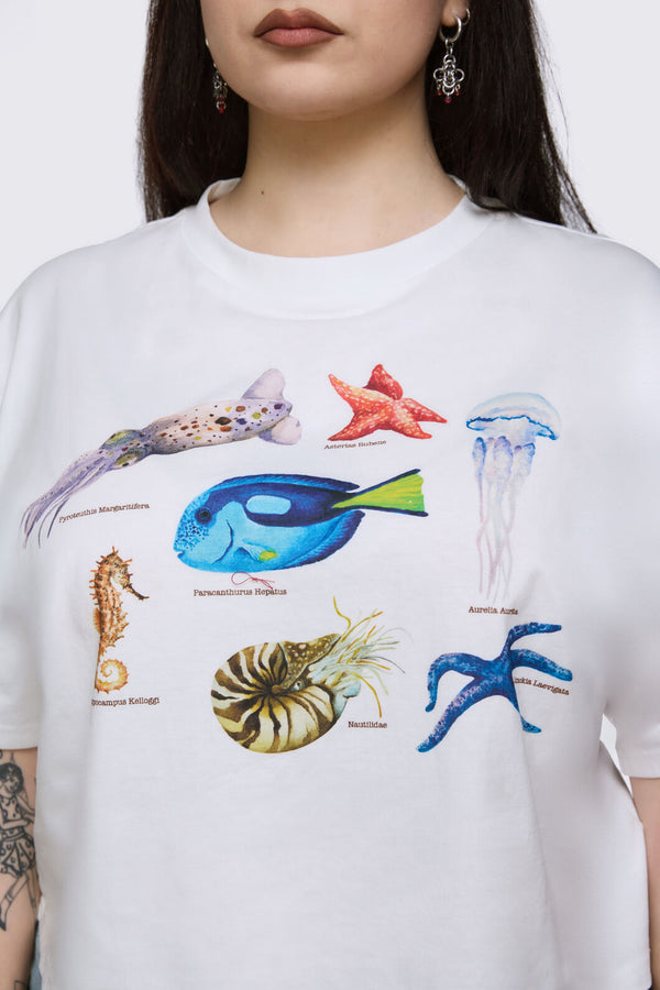 Dangerfield - Curve Oceanic Tee - cream