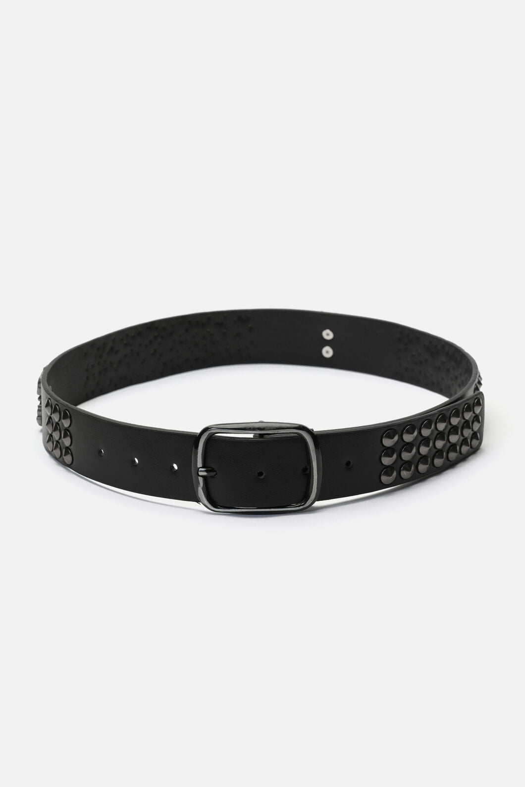 Dangerfield - Scorpion Stud Belt - black