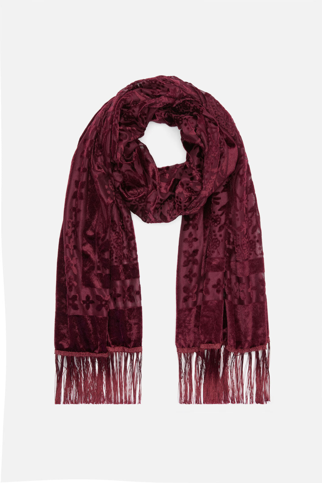 Dangerfield - Velvet Burnout Scarf - burgundy
