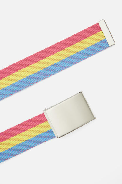 Dangerfield - Pride Belt Pansexual - multi