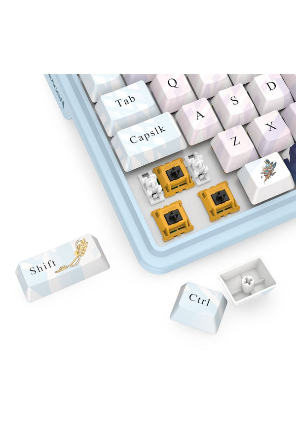 REDRAGON - Redragon K728AK RGB Pro Antonium Pro Blue TKL Noise Dampened Wireless Mechanical Keyboard - blue