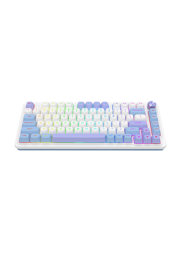 ELECTRONIC REBELLION - K673WBP-RGB-MAX 75% gasket KB - white-purple