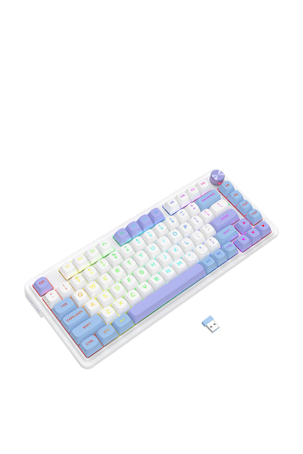 ELECTRONIC REBELLION - K673WBP-RGB-MAX 75% gasket KB - white-purple