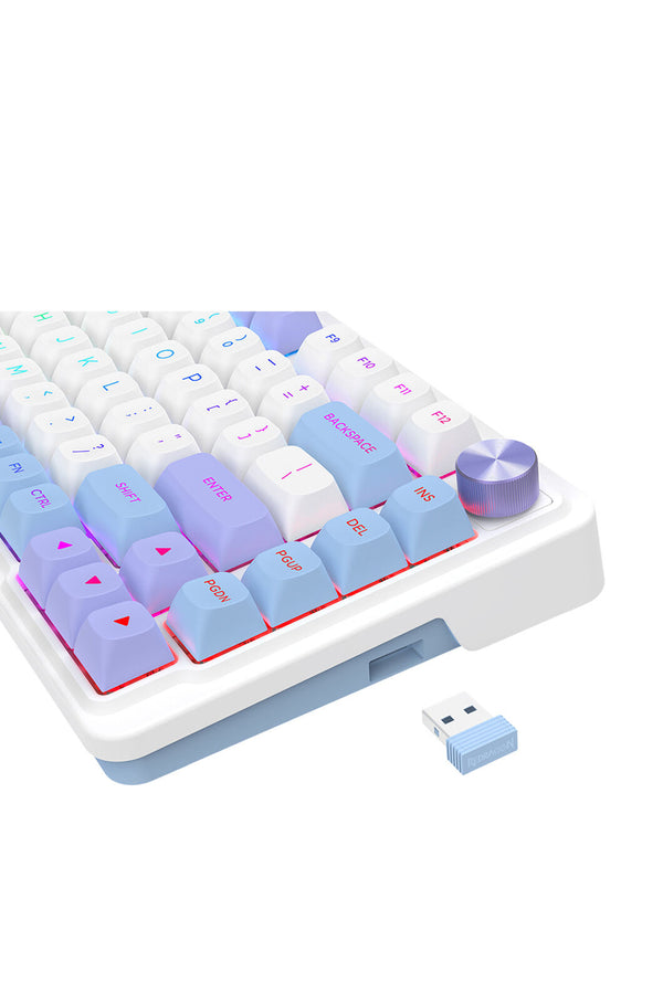 ELECTRONIC REBELLION - K673WBP-RGB-MAX 75% gasket KB - white-purple