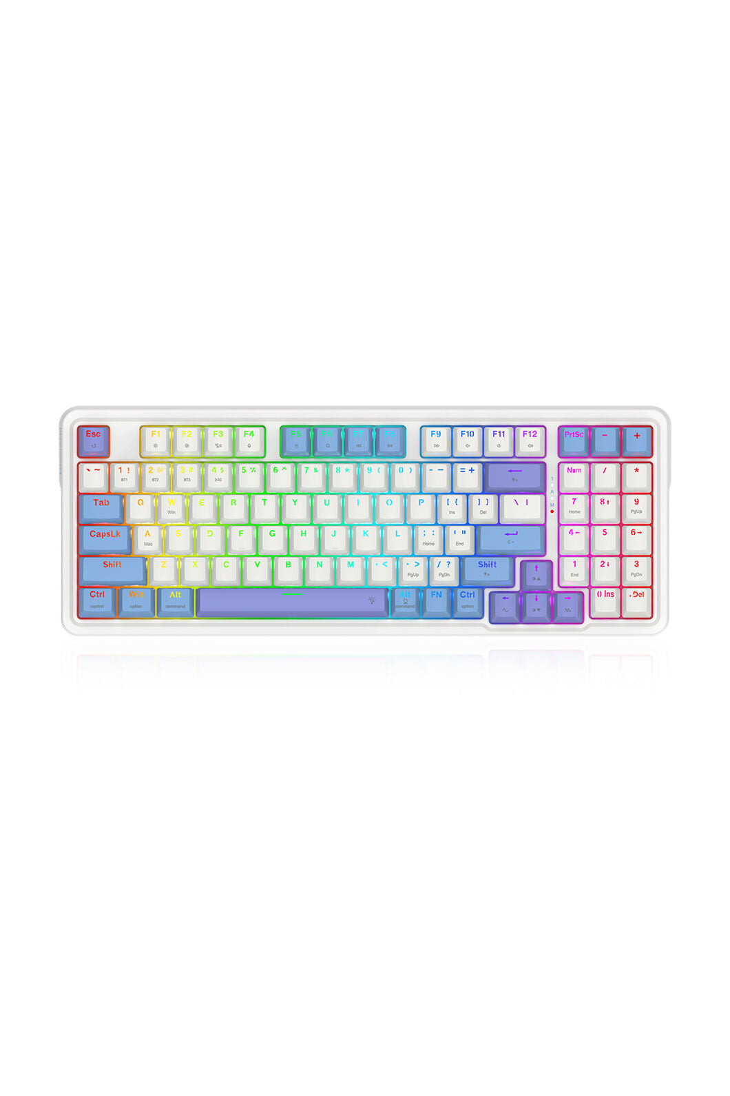 ELECTRONIC REBELLION - K664WBP-RGB-PRO Gloria 94% KB - white-purple
