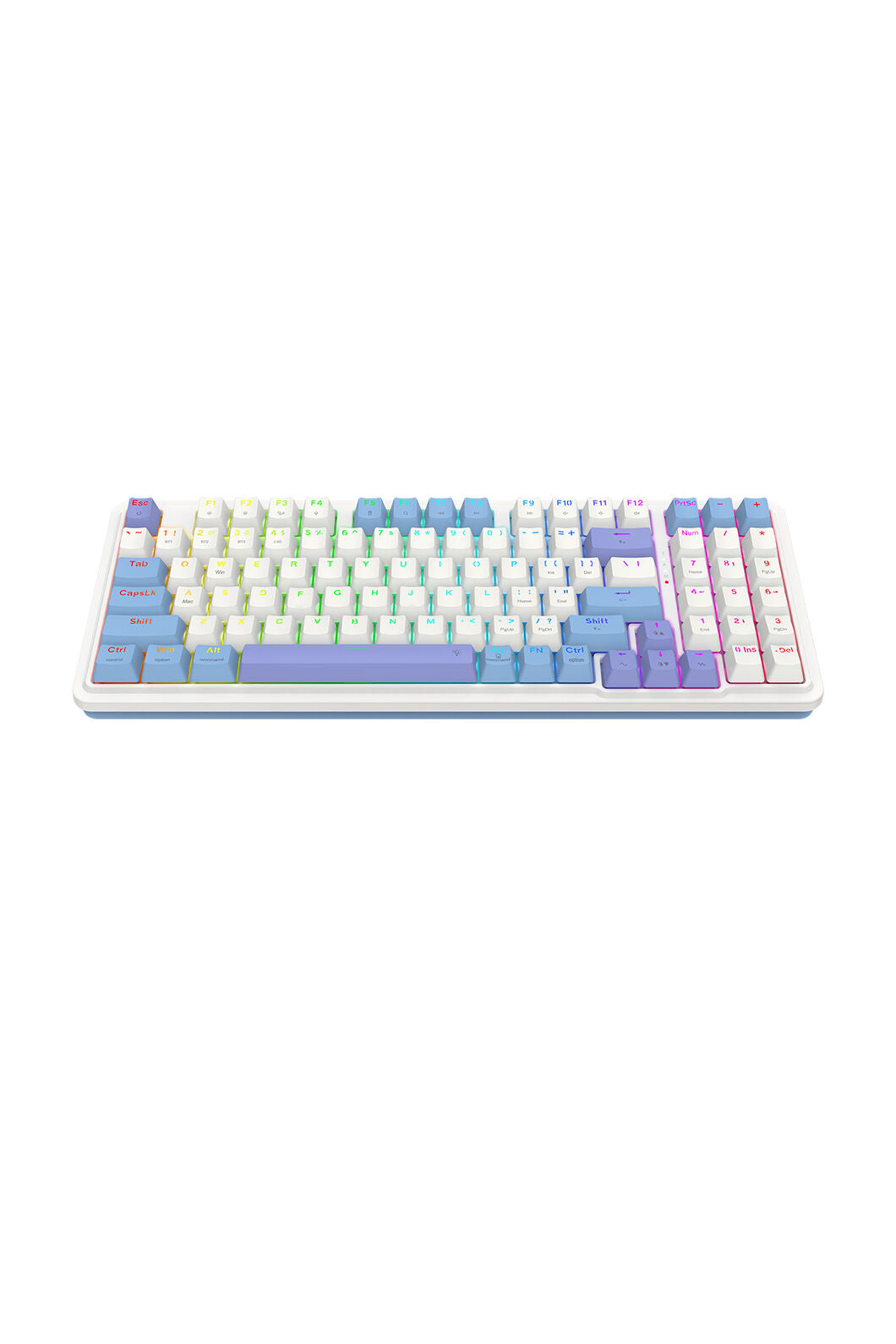 ELECTRONIC REBELLION - K664WBP-RGB-PRO Gloria 94% KB - white-purple