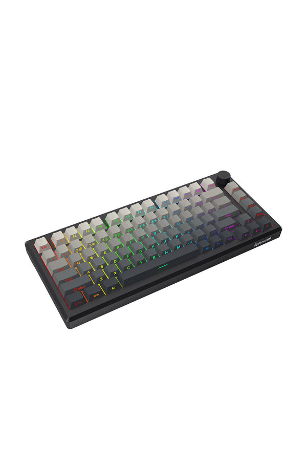 ELECTRONIC REBELLION - K673SP-RGB-PRO Geb KB - powder-blue