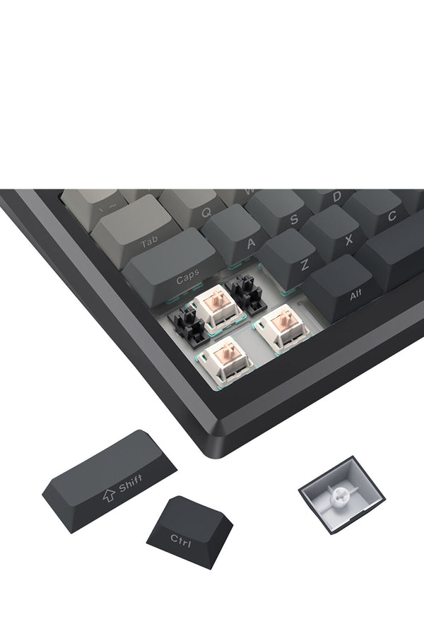 ELECTRONIC REBELLION - K673SP-RGB-PRO Geb KB - powder-blue