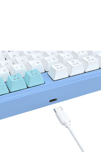 ELECTRONIC REBELLION - K707WBB-RGB S.Blade TKL KB - white-blue