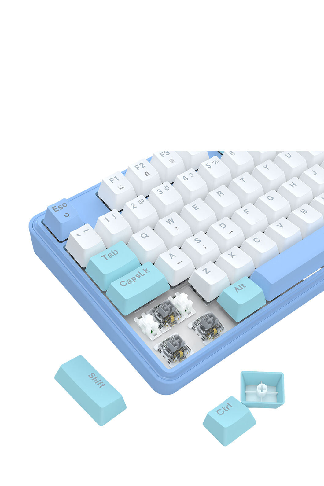 ELECTRONIC REBELLION - K707WBB-RGB S.Blade TKL KB - white-blue