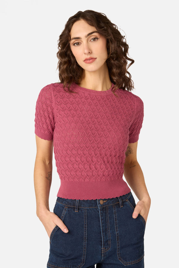 Princess Highway - Lila Short Sleeve Knit Top - rose