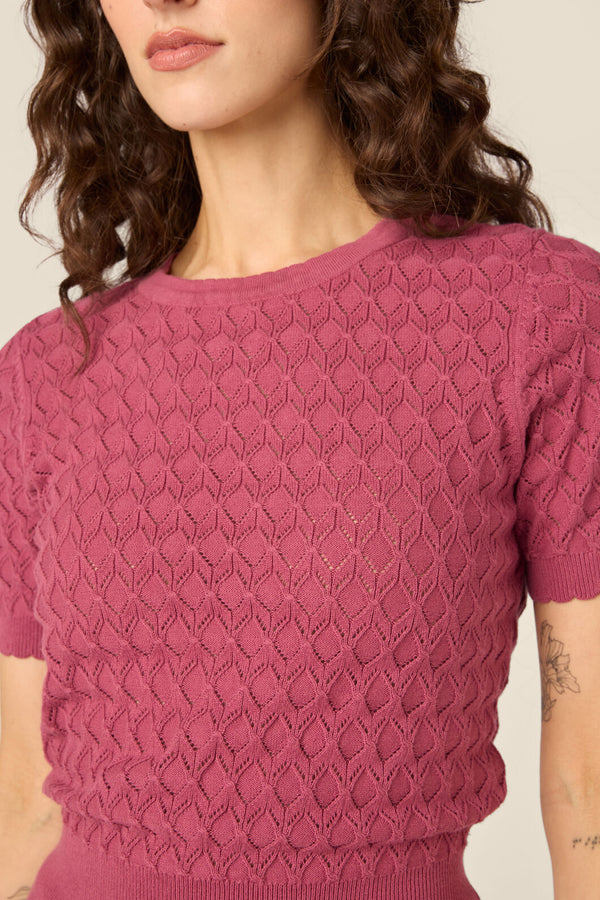 Princess Highway - Lila Short Sleeve Knit Top - rose