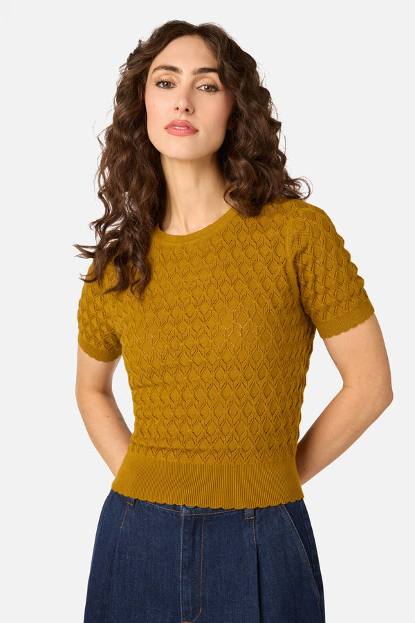 Princess Highway - Lila Short Sleeve Knit Top - golden-olive