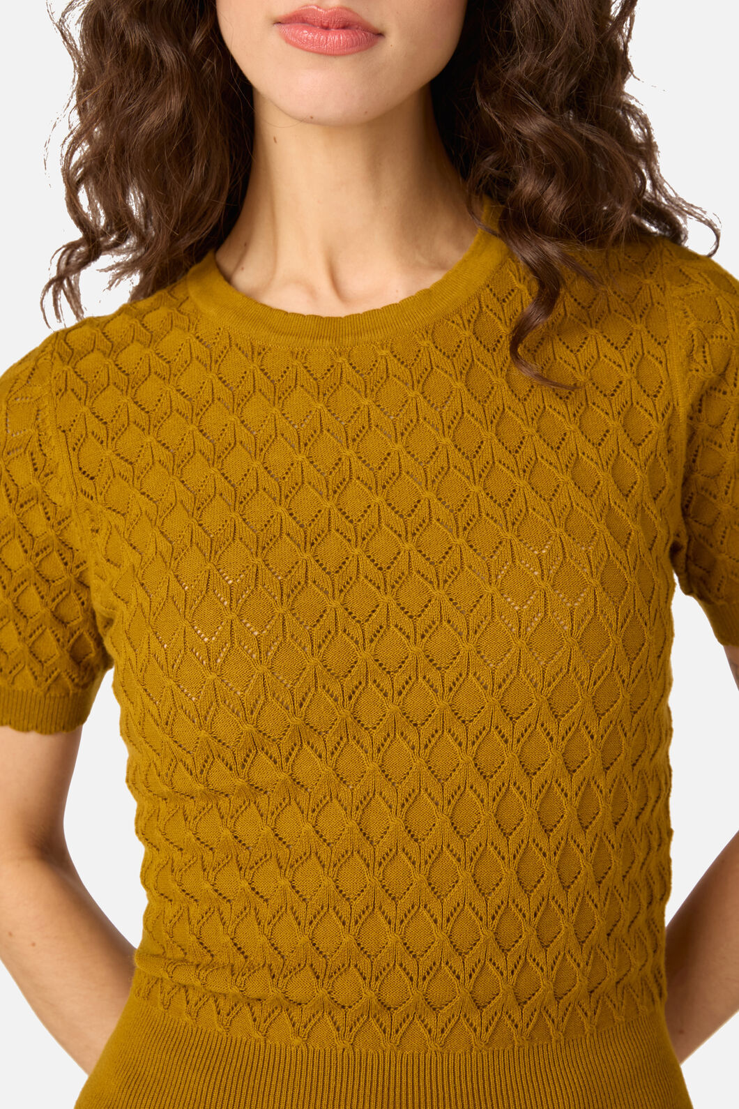 Princess Highway - Lila Short Sleeve Knit Top - golden-olive