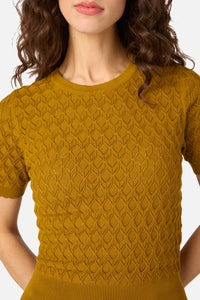 Princess Highway - Lila Short Sleeve Knit Top - golden-olive