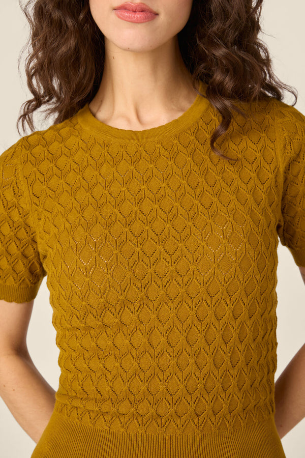 Princess Highway - Lila Short Sleeve Knit Top - golden-olive
