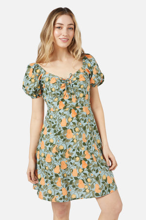 Princess Highway - Pear Vine Mini Dress - sage