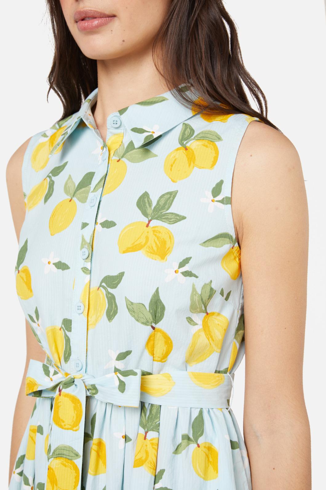 Lemon print shirt dress hotsell