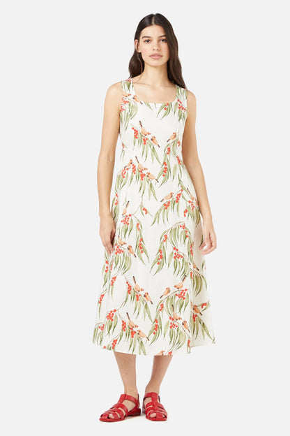Princess Highway - Zebra Finch Midi Dress - cream
