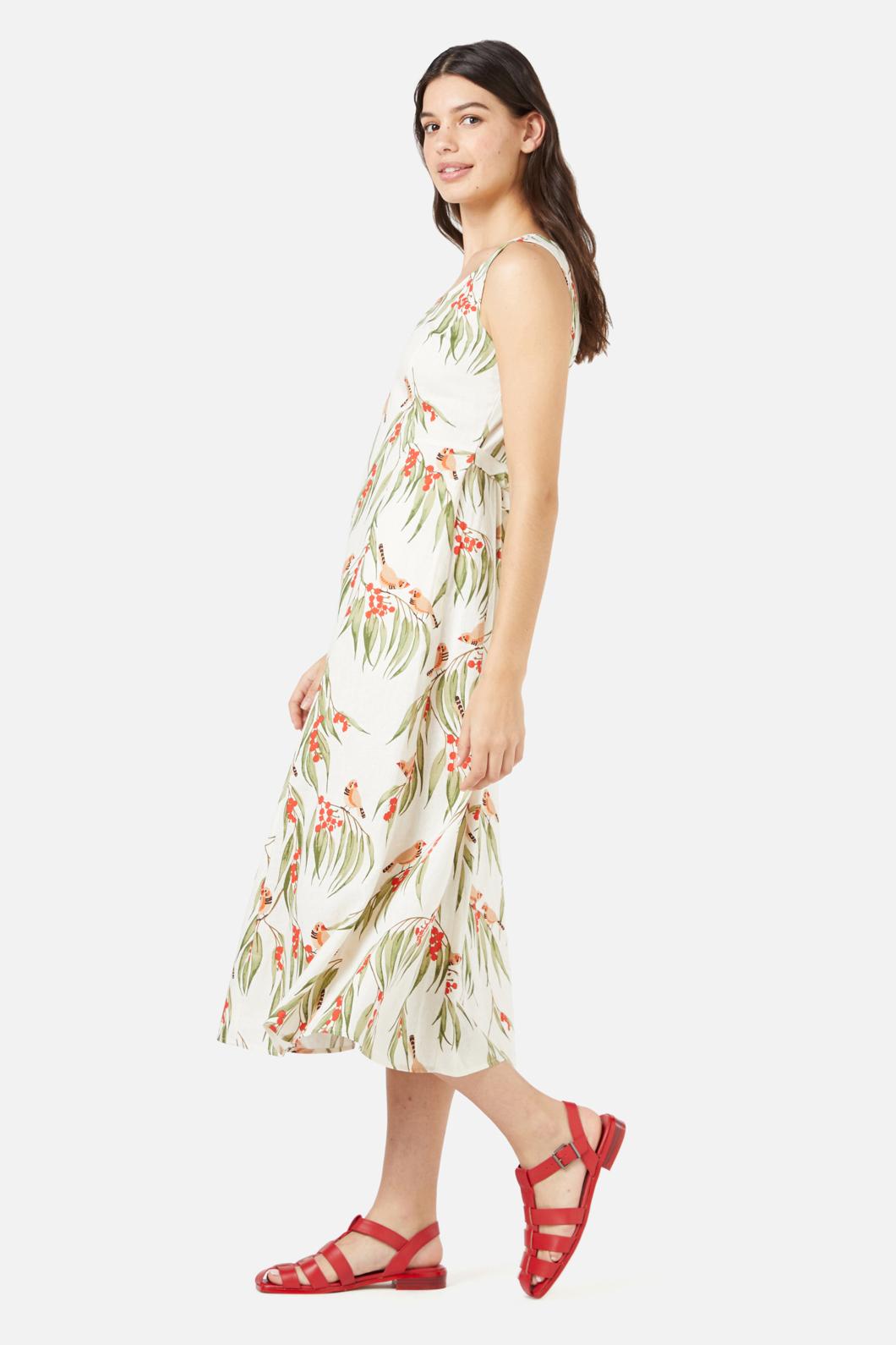 Princess Highway - Zebra Finch Midi Dress - cream