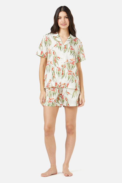 Princess Highway - Zebra Finch Short PJ Set - cream