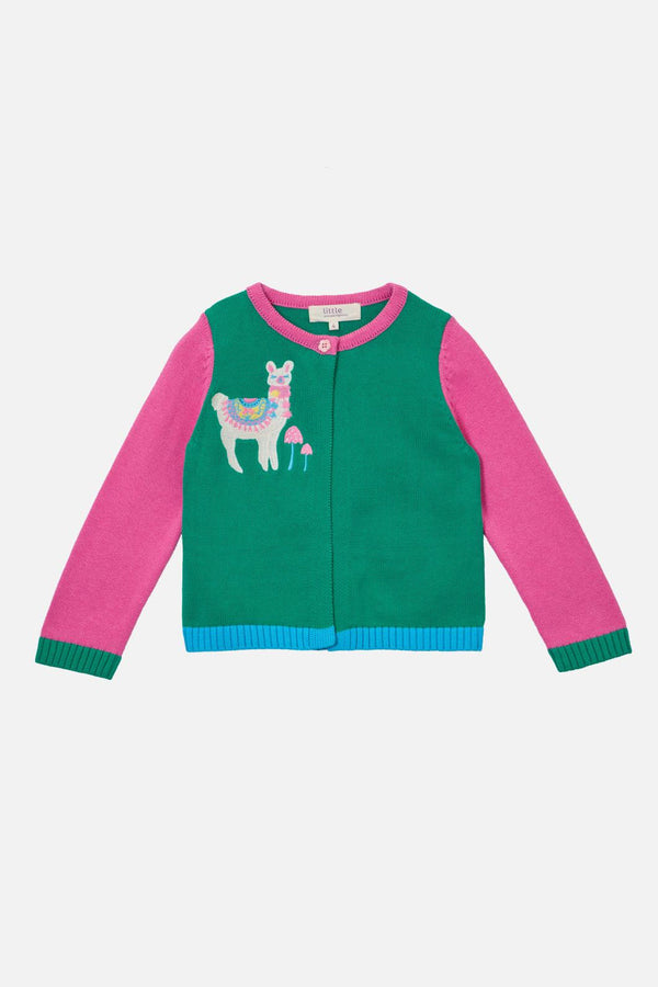 Princess Highway Kids - Llama Kids Cardigan - multi