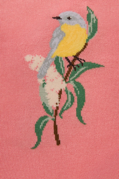 Princess Highway - Eastern Yellow Robin Sock - pink