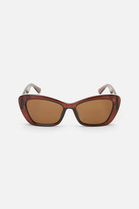 Princess Highway - Modern Cats Sunglasses - chocolate
