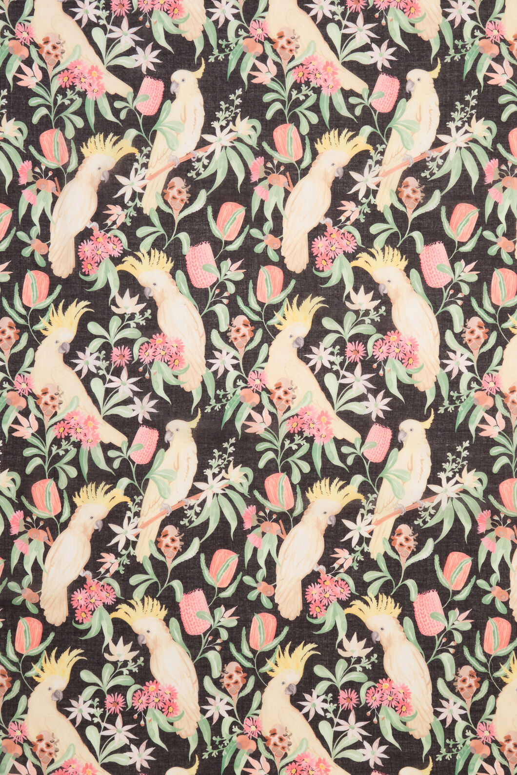 Princess Highway - Cockatoo Soft Scarf - black