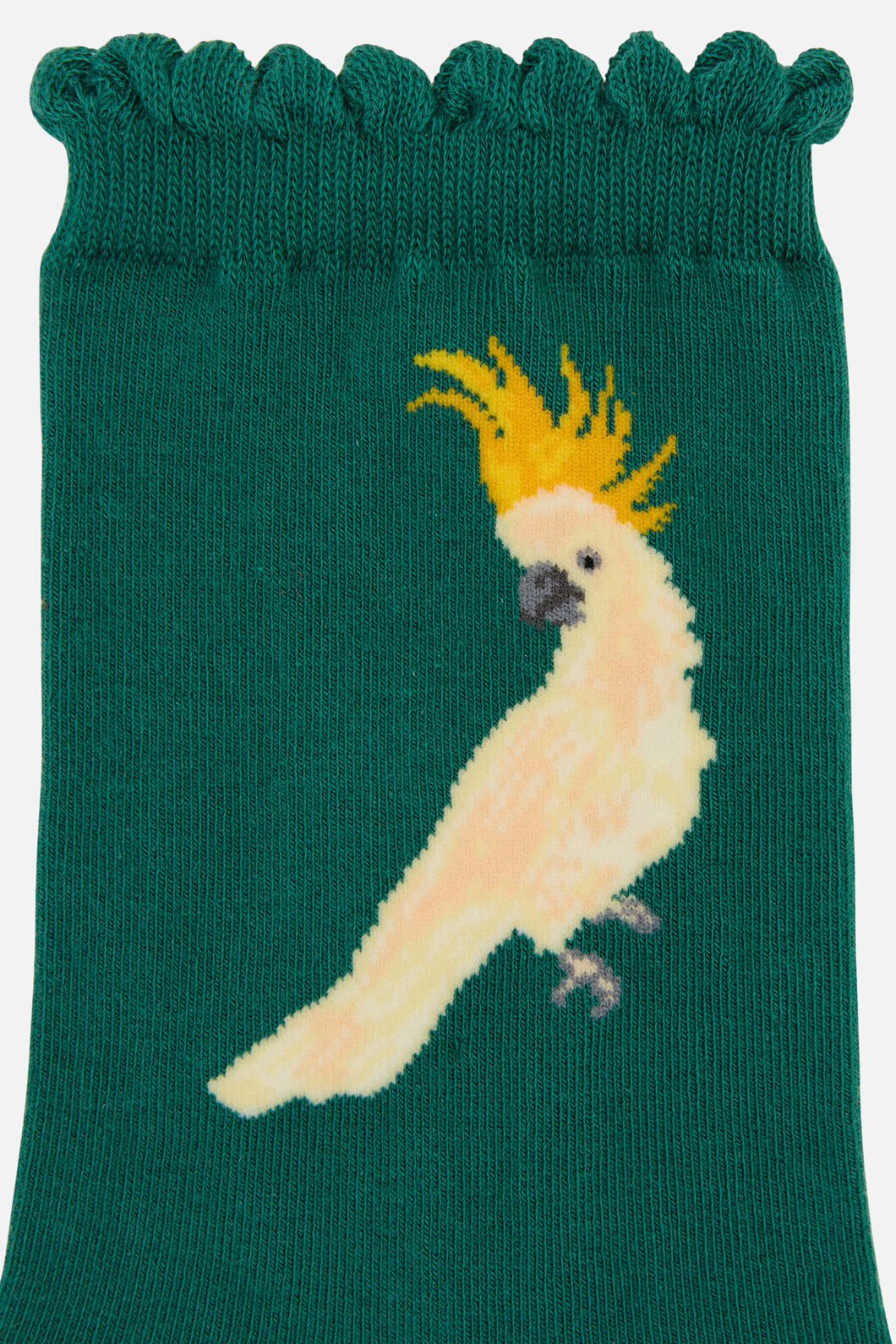 Princess Highway - Cockatoo Sock - teal