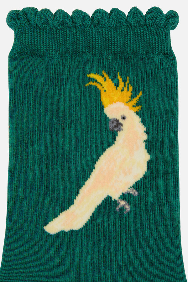 Princess Highway - Cockatoo Sock - teal