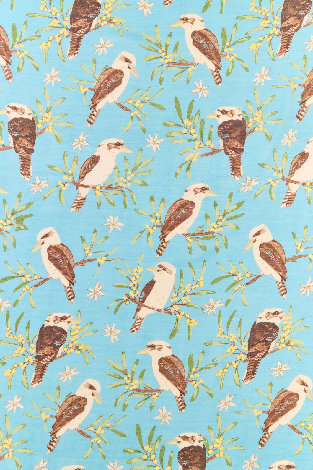 Kookaburra Soft Scarf – Dangerfield