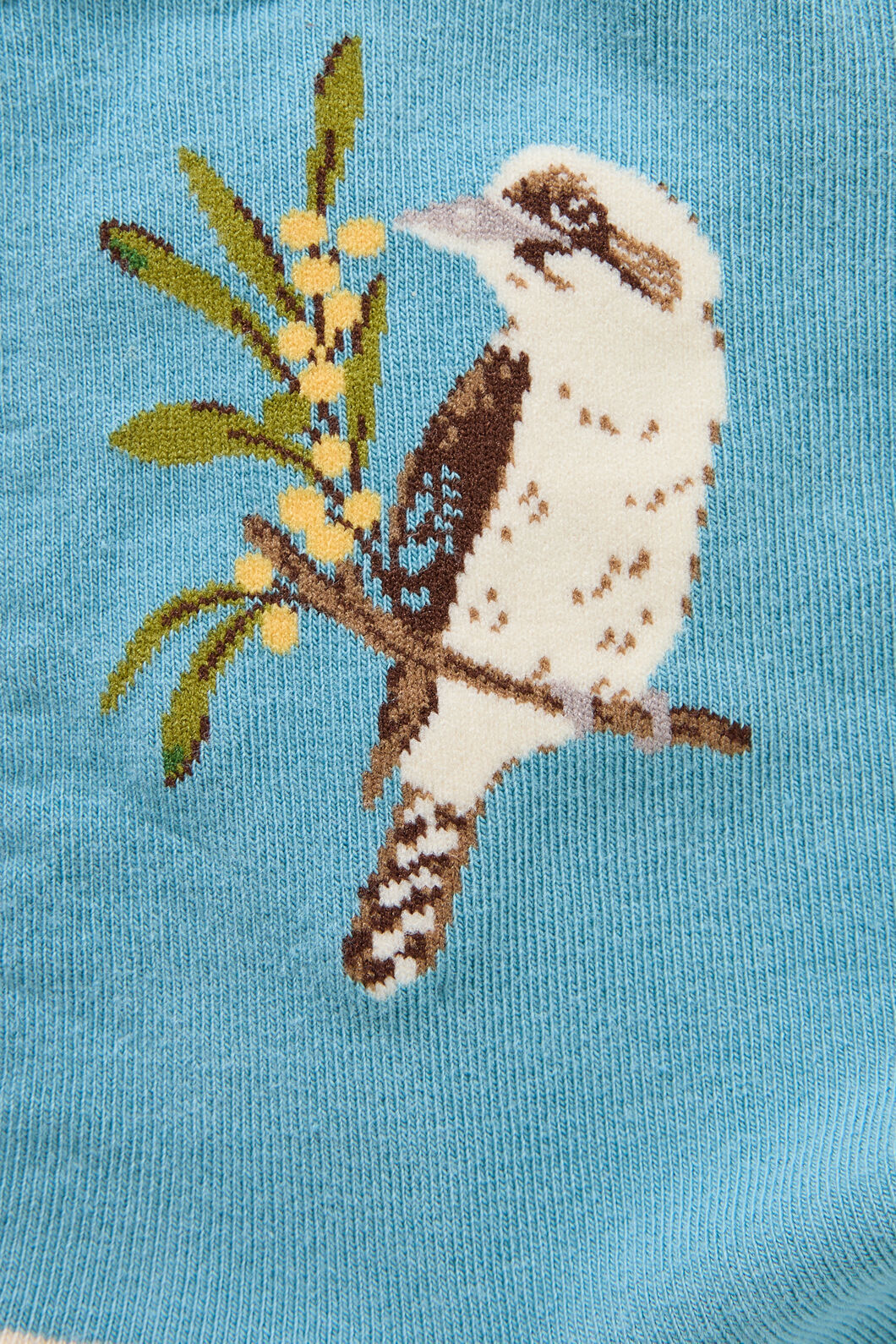 Kookaburra Sock AU