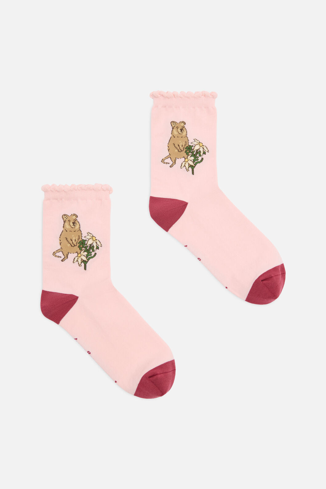 Princess Highway - Quokka Socks - pale-pink