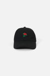 Princess Highway - Black Rose Embroidered Cap - black