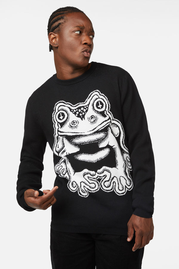 Black Friday - Frog Friend Unisex Knit - black