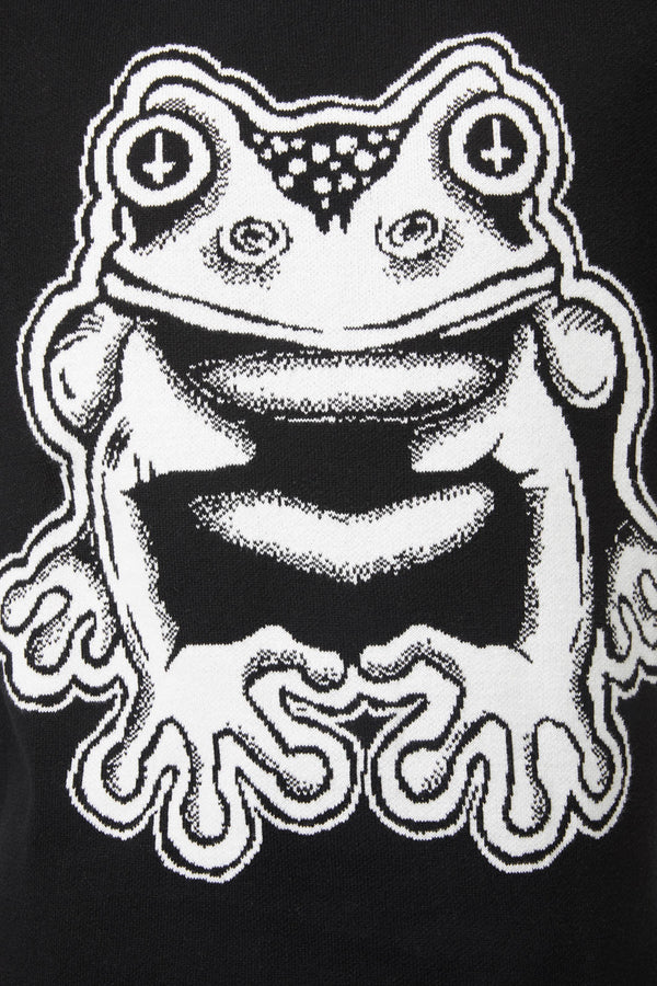 Black Friday - Frog Friend Unisex Knit - black